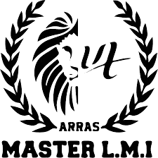 Logo - Master LMI Université d'Artois